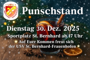 Punsch2