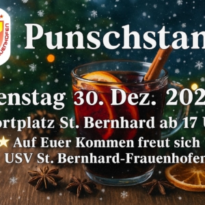 Punsch2