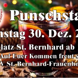 Punsdhstand_USV_2025