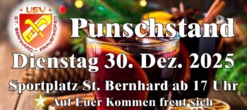 Punsdhstand_USV_2025